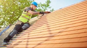 Best Rubber Roofing (EPDM, TPO)  in La Homa, TX