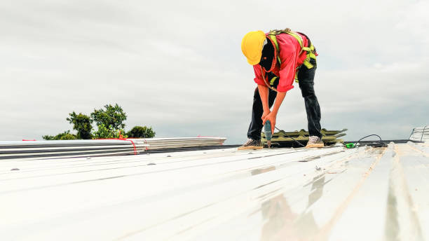 Best Roof Leak Repair  in La Homa, TX