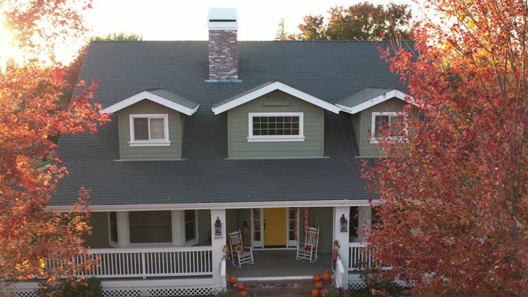 Best Skylight Installation and Repair  in La Homa, TX