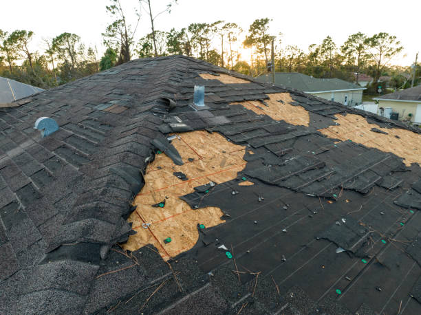 Best Roof Installation  in La Homa, TX