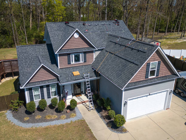 Best Storm Damage Roof Repair  in La Homa, TX